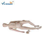 Nurse Training Doll Male Full Body Cpr Manikin For Medical School Bilological Class