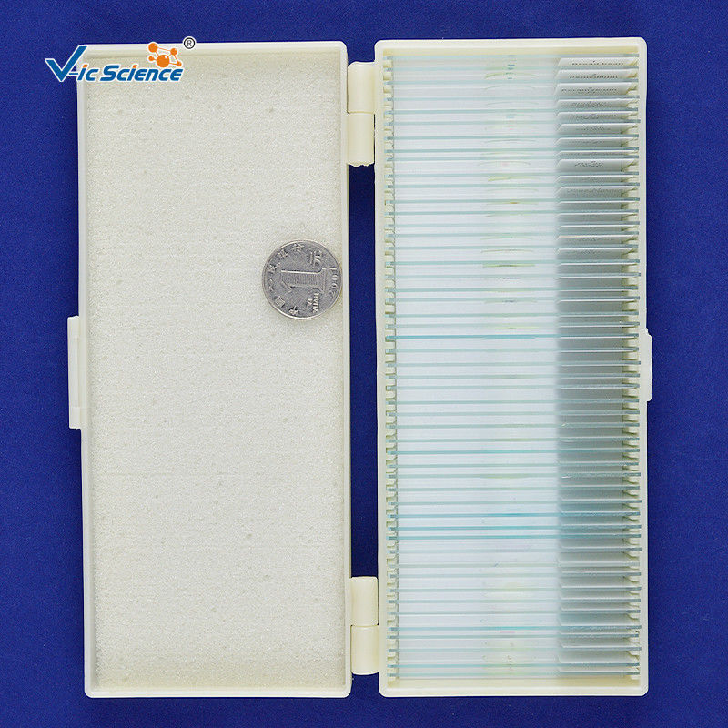 Hospital Research Special 76.2*25.4 Prepared Microscope Slides